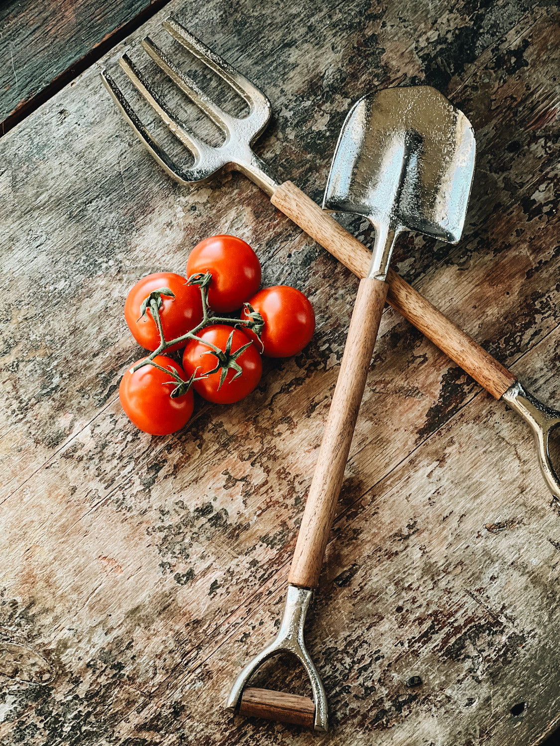 Farm salad serving set