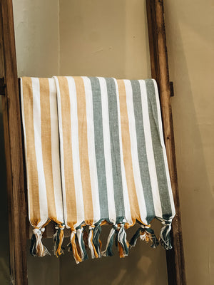 Bicolor Cabana Stripe Dish Towel