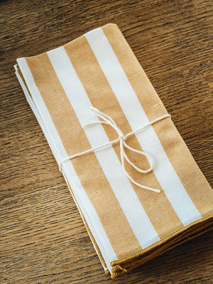 Cabana Stripe Napkins Set of 4