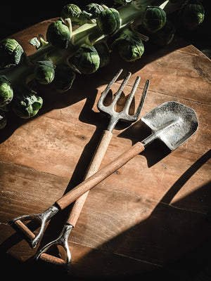 Farm salad serving set