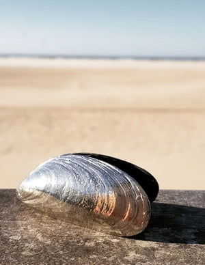 Mussel Cutlery