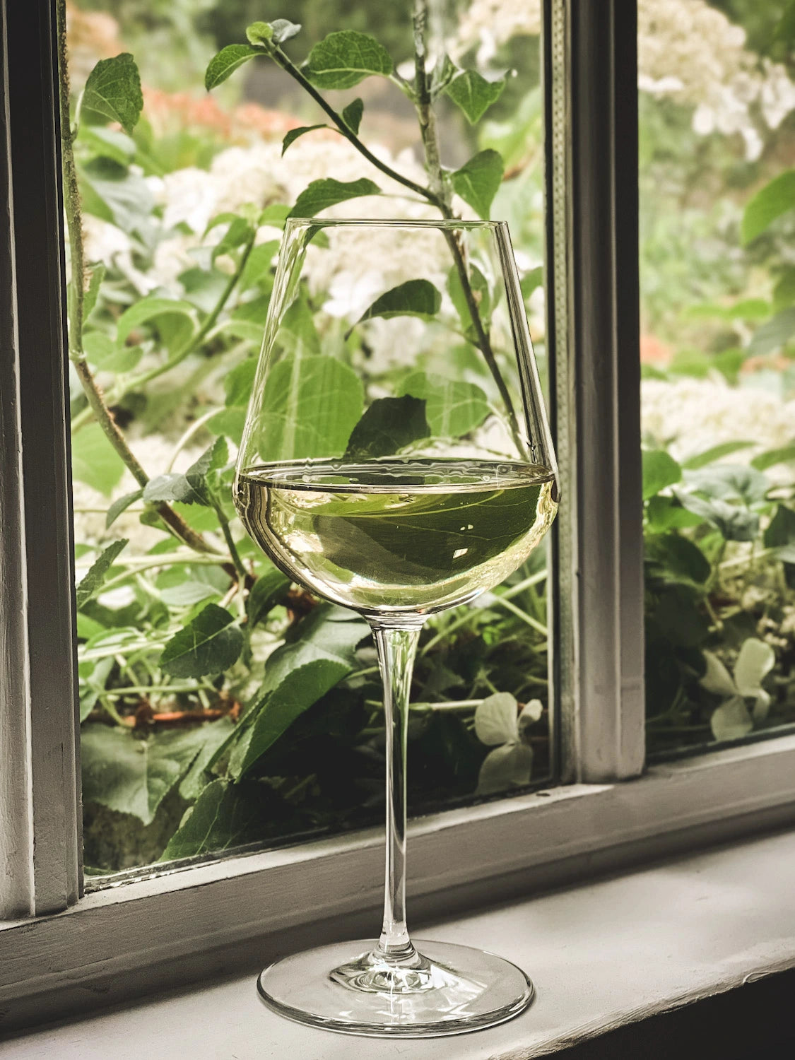 Vino Bianco Glass