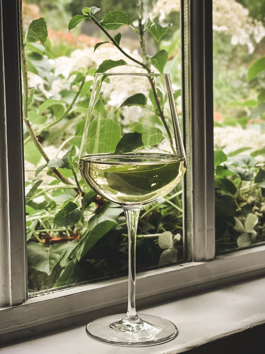Vino Bianco Glass