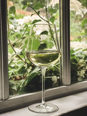 Vino Bianco Glass