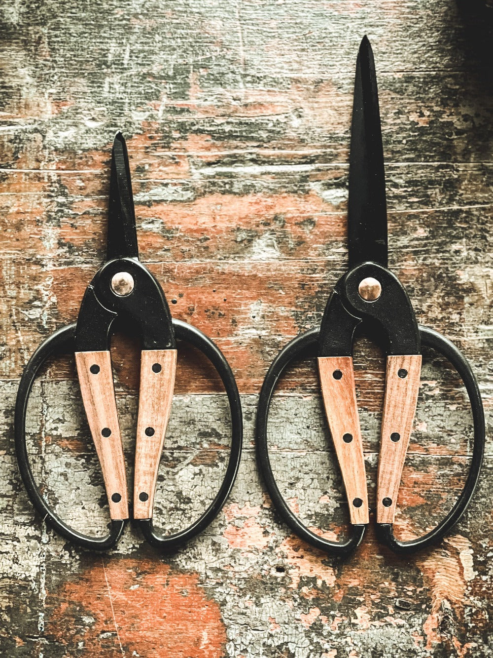 Garden & Herb Scissors