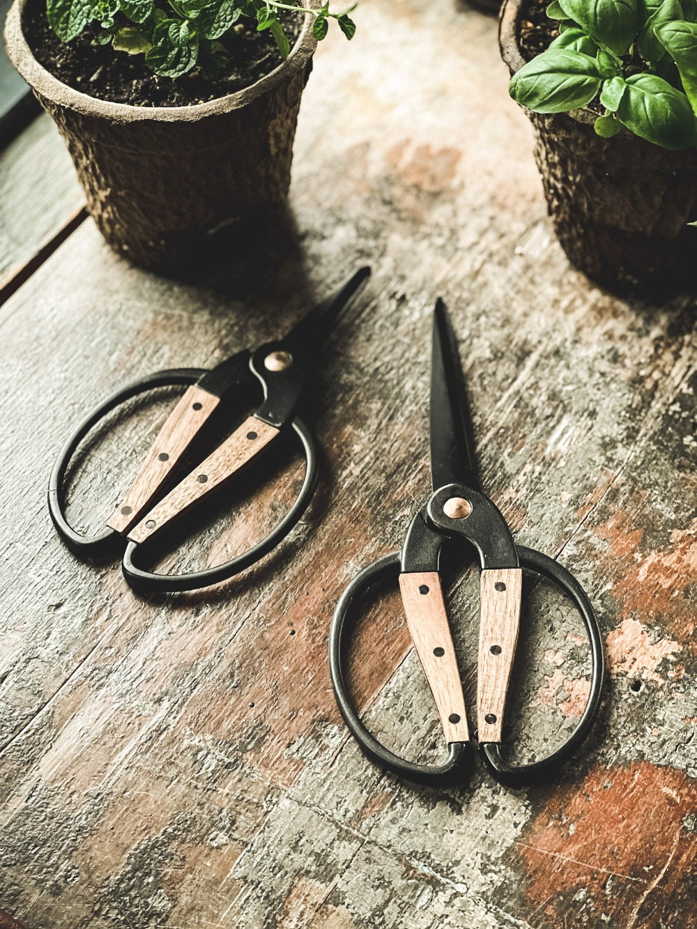 Garden & Herb Scissors